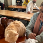 Migranti, a Torino Mofida e il suo gatto Mishou arrivati dalla Libia