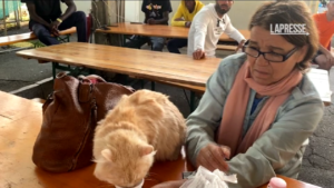 Migranti, a Torino Mofida e il suo gatto Mishou arrivati dalla Libia