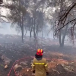 Incendi Grecia, spento rogo vicino ad Atene