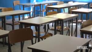 Scuola, debuttano tutor e orientatori: “Fondi per compensi inadeguati”