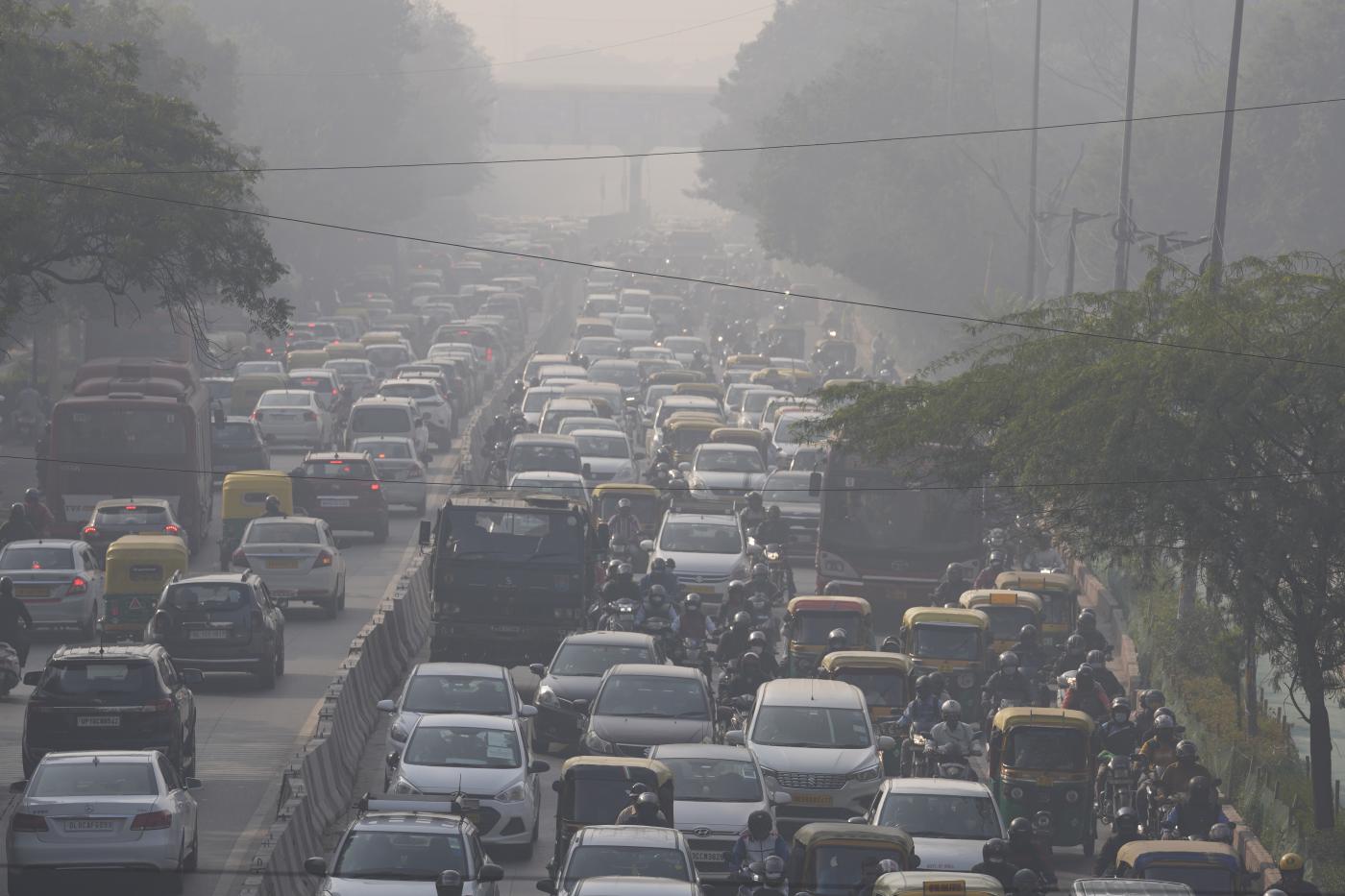 Crisi climatica, smog uccide 90 neonati a settimana