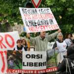 Trentino, Fugatti firma abbattimento orsa F36