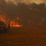 Caldo record, 62mila morti in Unione Europea nel 2023