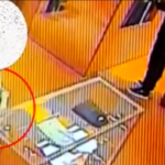 Milano, furti nei negozi con trucco borsa schermata: 2 arresti