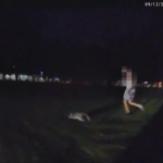 Usa, lemure scappa di casa e la polizia lo insegue: il video