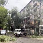 Maltempo a Milano, albero caduto danneggia linea del tram