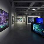 Intesa Sp, alle Gallerie d’Italia di Torino l’economia circolare negli scatti di Luca Locatelli