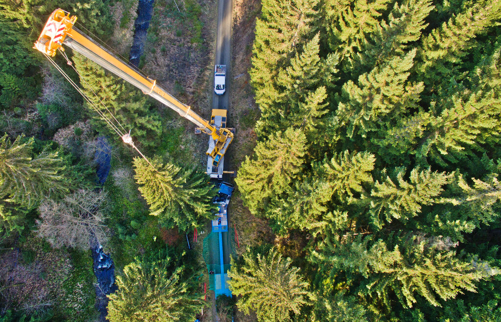 Cuneo, incidente sul lavoro: 68enne muore colpito da un albero