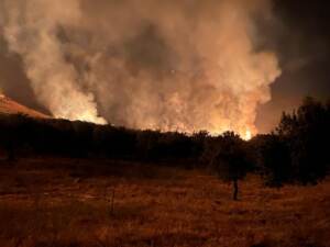 Palermo, ancora emergenza incendi: decine di roghi in tutta la provincia