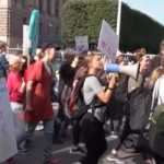 Giornata mondiale di sciopero per il clima, Greta Thunberg manifesta a Stoccolma