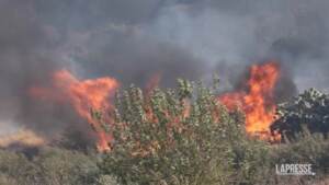 Incendi, ancora roghi nel Palermitano: 3 canadair in azione