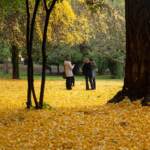 Equinozio d’autunno, è finita l’estate