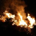 Incendi Palermo, 2 morti e centinaia di evacuati a Cefalù