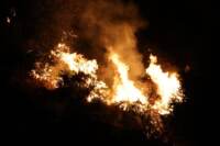 Sicilia, incendi nel palermitano tra Montelepre e Villabate