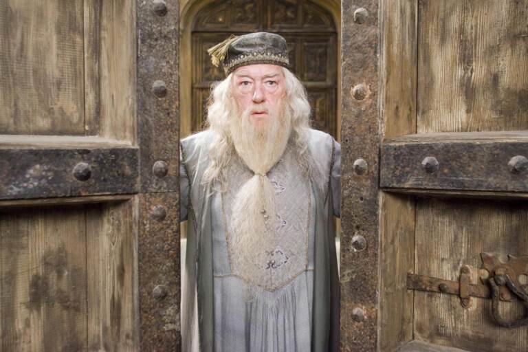 Harry Potter and the Order of the Phoenix 2007