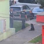 Slovacchia, sparatoria a Bratislava: 1 morto e 4 feriti