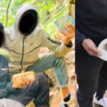 Sondrio, in manette banda di pusher: 21 arresti