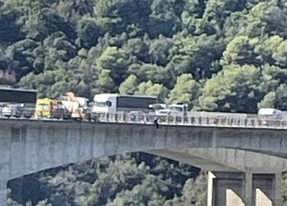 Francia, giocatore del Nizza minaccia di gettarsi da viadotto