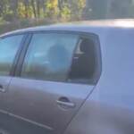 Femminicidio Castelfiorentino, il ritrovamento del corpo di Alfred Vefa