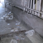 Roma, viaggio nel mondo sommerso della droga a Tor Bella Monaca