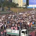 Milano, in migliaia a corteo animalista: “Giù le mani dai rifugi”