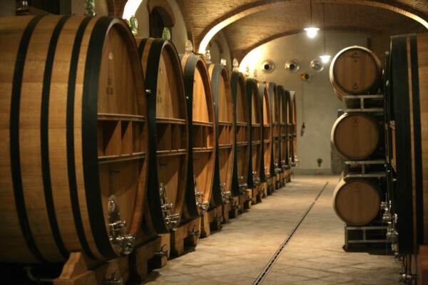 ITALIAN WINE CELLAR, CASTLIGLIONE FALLETTO, PIEDMONT, ITALY.