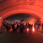 Corteo a Roma a sostegno della Palestina