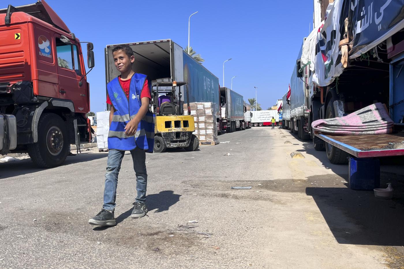 Gaza, Enpa: “Pronti aiuti per animali, appena possibile partiranno”