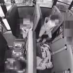 Usa, bimbo ingoia moneta: salvato da autista del bus