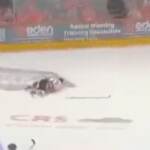 Hockey su ghiaccio, tragedia in Inghilterra: giocatore sgozzato dalla lama di un pattino