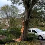 Francia, tempesta Ciaràn sulla costa atlantica: alberi sradicati e finestre in frantumi