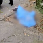 Ucraina, raid russi su 118 località in 24 ore