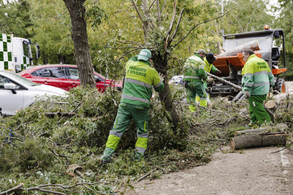 Ciaràn, dalla Gran Bretagna all’Italia: i danni della tempesta in Europa