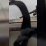 Gaza, le truppe di Israele sul terreno: presa roccaforte di Hamas