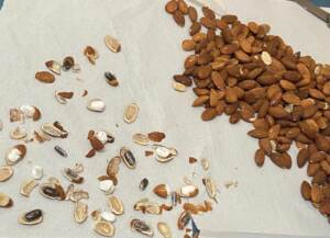 Roma, droga in carcere nascosta nelle mandorle: 32enne in manette