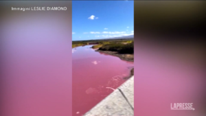 Hawaii, l’acqua dell’isola di Maui è diventata rosa: il video