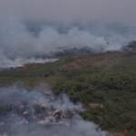 Brasile, incendi nel Pantanal: dichiarata l’emergenza ambientale