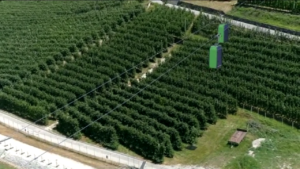 Trentino, Melinda: la prima funivia al mondo per il trasporto delle mele
