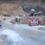 India, 40 operai intrappolati in un tunnel da una settimana: proseguono gli scavi