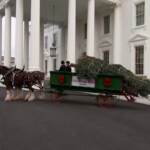 Usa, alla Casa Bianca arriva l’albero di Natale
