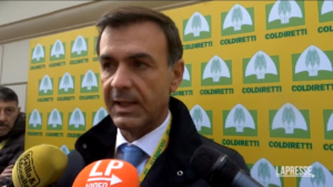 Europee, Prandini: “Non mi candido e resto presidente Coldiretti”