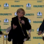 Violenza donne, Calderone: “Indipendenza economica consente di denunciare”