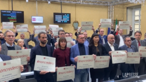 Violenza donne, il Consiglio regionale del Piemonte si mobilita per il 25 novembre
