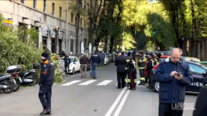 Donna morta per caduta albero a Roma, rabbia dei residenti: “Uno schifo”