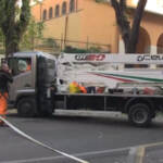 Roma, donna morta schiacciata da albero: lunedì vertice in procura