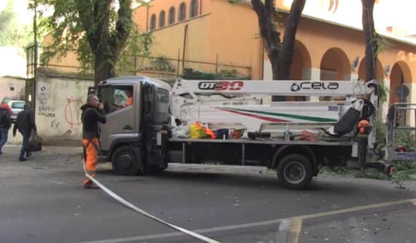 Roma, donna morta schiacciata da albero: lunedì vertice in procura