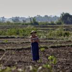 750 milioni di persone soffrono la fame nel mondo