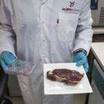 Carne coltivata, divieto notificato all’Ue: ora l’analisi nel merito