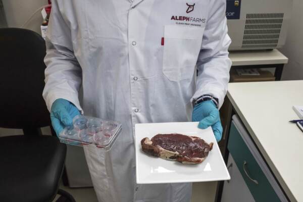 Carne coltivata, divieto notificato all’Ue: ora l’analisi nel merito