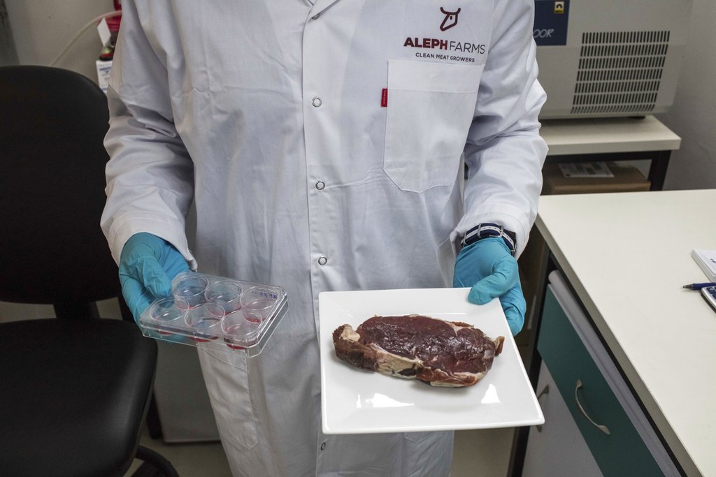 Carne coltivata, divieto notificato all’Ue: ora l’analisi nel merito Carne coltivata, divieto notificato all’Ue: ora l’analisi nel merito